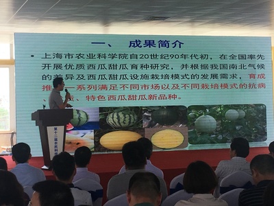 浦東第十二屆農民科技節開幕，初夏時節聚焦農業信息咨詢